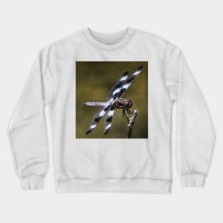 Twelve-spotted Skimmer Crewneck Sweatshirt